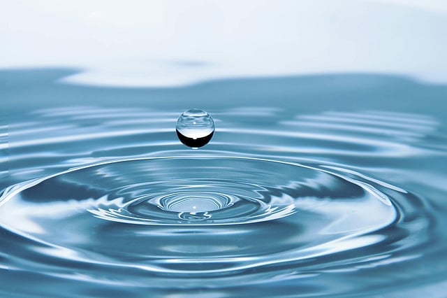 world water day