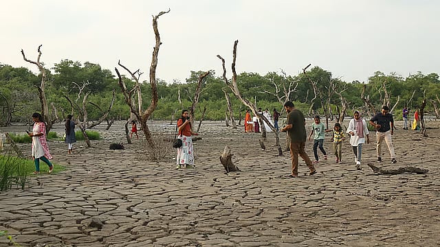 വരണ്ടു കിടക്കുകയാണല്ലോ എന്ന് കരുതി ഒരുപാട് ദൂരം മുന്നോട്ട് സഞ്ചരിക്കാമെന്ന് കരുതണ്ട. ഇവിടം ഒരു ചതുപ്പ് നിലം കൂടിയാണ്. അതിനാൽ തന്നെ സന്ദർശകർ ജാഗ്രത പുലർത്തിയില്ലെങ്കിൽ ചതുപ്പിൽ താഴാനുള്ള സാധ്യത കൂടുതലാണ്.