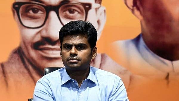 തമിഴ്നാട് ബിജെപിയിൽ വൻ അഴിച്ചുപണി; വിജയ് തരംഗത്തിൽ പ്രമുഖർ തോറ്റതോടെ അണ്ണാമലൈയെ തിരികെ കൊണ്ടുവരാൻ നീക്കം