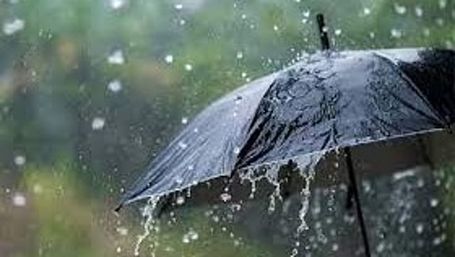 rain alert