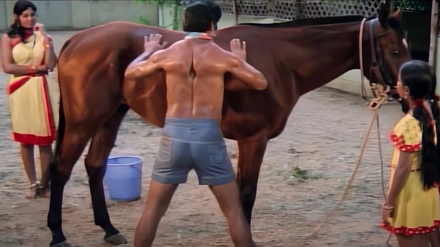 ശരപഞ്ജരം