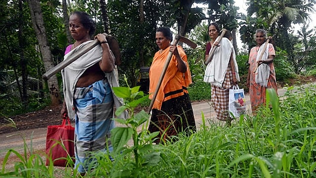 Bank deposits of Kudumbashree women cross Rs 9,000 crore across Kerala