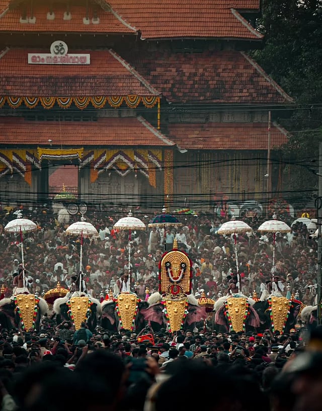 മനസ്സിലും മാനത്തും കാഴ്ചകൾ നിറച്ച പൂരത്തിന്റെ ആവേശത്തിൽ തേക്കിൻകാട് കുടകൾ മാറി മാറി വിരിഞ്ഞു