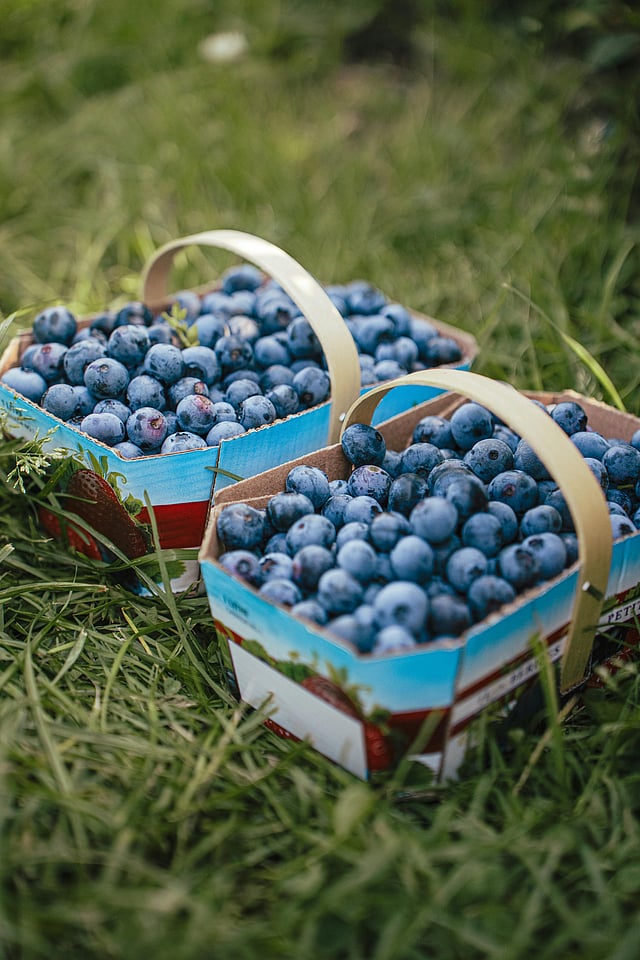 image of blue berries in buskets