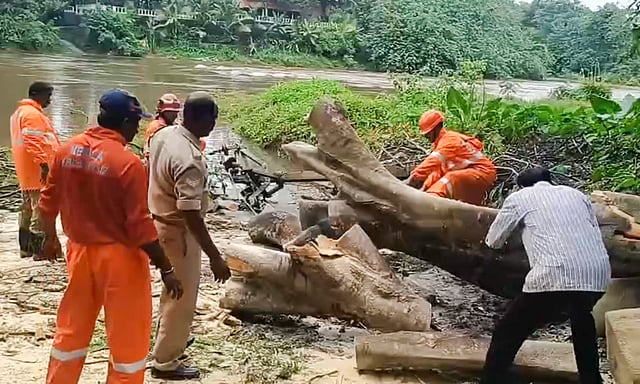 കനത്ത മഴയെത്തുടർന്ന് മറിഞ്ഞു വീണ മരങ്ങൾ മുറിച്ചുമാറ്റുന്ന ഉദ്യോഗസ്ഥർ. പത്തനംതിട്ടയിൽ നിന്നുള്ള കാഴ്ച.