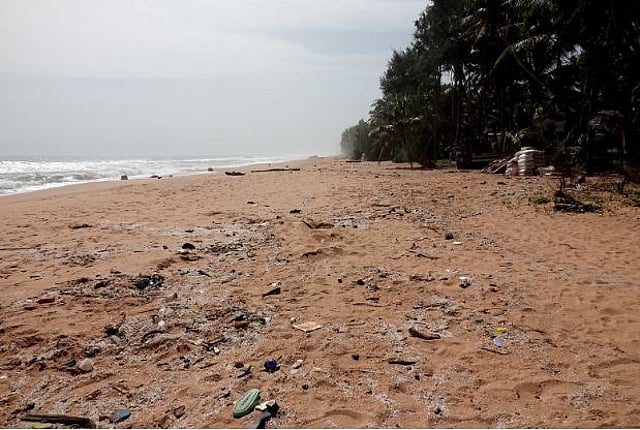 ജൂണ് 5 ലോക പരിസ്ഥിതി ദിനം