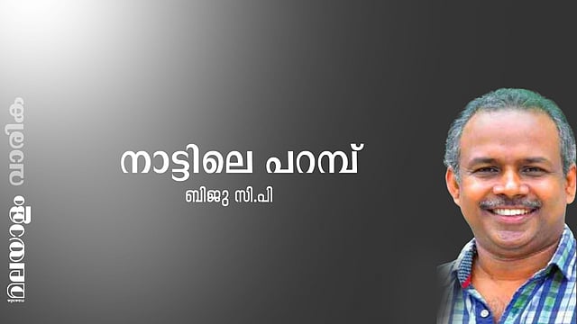ബിജു സി.പി. എഴുതിയ കഥ: നാട്ടിലെ പറമ്പ്