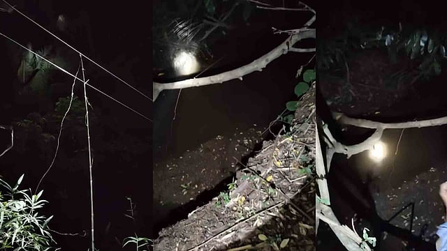 nilambur student death