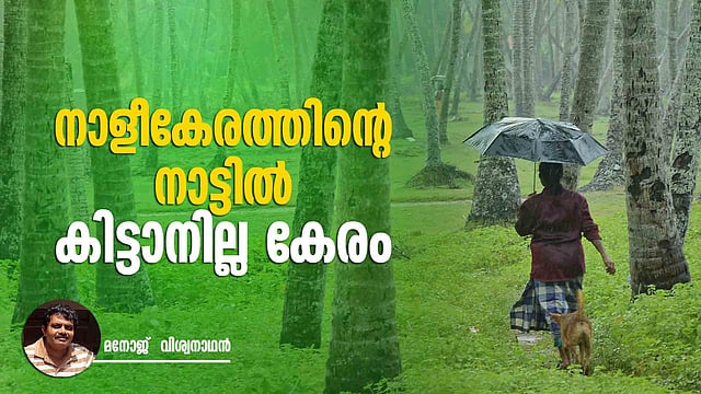 തേങ്ങയ്ക്കു പൊന്നുംവില, എന്നിട്ടും കര്ഷകന് നിരാശ