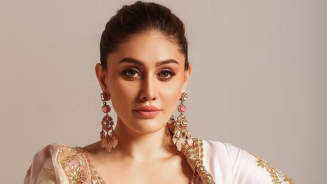 'റോഡിൽ വരെ വീണു, അപസ്മാരം മൂലം ബുദ്ധിമുട്ടിയ 15 വർഷങ്ങൾ'; കാന്താ ലഗയ്ക്ക് ശേഷം അഭിനയിക്കാതിരുന്നതിനെക്കുറിച്ച് ഷെഫാലി