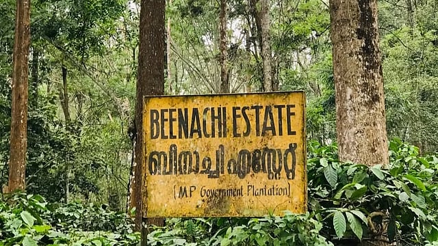 മധ്യപ്രദേശിന്റെ ബീനാച്ചി എസ്റ്റേറ്റിന്റെ വിപണി മൂല്യം 500 കോടി രൂപ, ഇനി കേരളത്തിന് ഏറ്റെടുക്കാനാകുമോ?