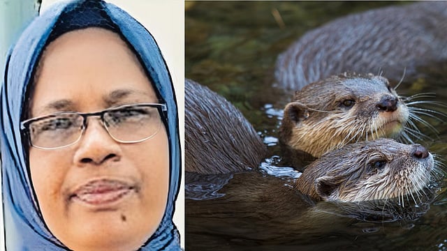തുണി കഴുകുന്നതിനിടെ നീര്നായ കടിച്ചു; ചികിത്സയ്ക്ക് ശേഷം വീട്ടിലേക്ക് മടങ്ങിയ 53കാരി കുഴഞ്ഞുവീണു മരിച്ചു