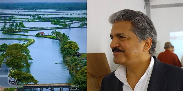 anand mahindra