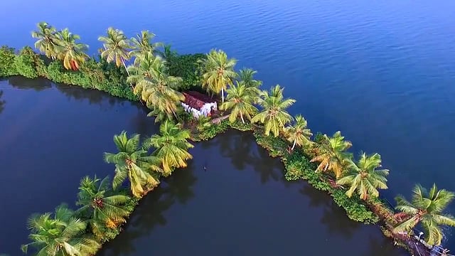 'ഒറ്റബോട്ട് യാത്രയില് കുട്ടനാടിന്റെ മുഴുവന് സൗന്ദര്യവും'; വരുന്നു 'കുട്ടനാട് സഫാരി'
