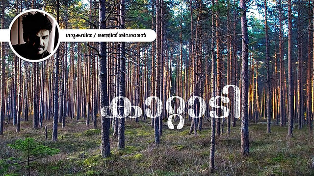 കാറ്റാടി - രഞ്ജിത് ശിവരാമന് എഴുതിയ കവിത