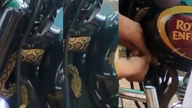 ബുള്ളറ്റില്‍‌ ഒളിച്ചിരുന്ന കൂറ്റൻ അണലിയുമായി വിദ്യാര്‍ത്ഥി സഞ്ചരിച്ചത് രണ്ട് മണിക്കൂര്‍; തലനാരിഴയ്ക്ക് രക്ഷപ്പെടൽ