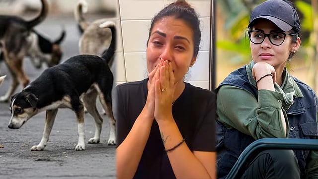 'നായകളെ ഓർത്ത് ഹൃദയം തകരുന്നു, നടക്കാന് പോവുന്നത് കൂട്ടക്കൊല'; പൊട്ടിക്കരഞ്ഞ് സദ