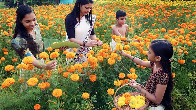 പൂ വിളി പൂ വിളി പൊന്നോണമായി....; ഓണത്തിന്റെ വരവറിയിച്ച് അത്തം പിറന്നു