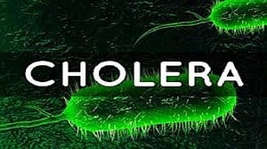 Cholera again confirmed in the state