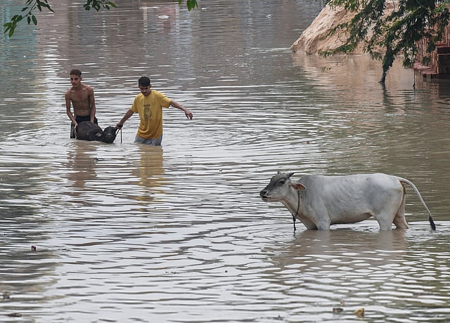 നിലവിൽ യെല്ലോ അലർട്ട് ആണ് പ്രഖ്യാപിച്ചിരിക്കുന്നത്.