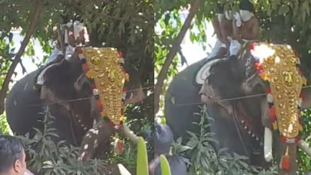 ശ്രീകൃഷ്ണജയന്തി  എഴുന്നള്ളത്തിനിടെ ആനയിടഞ്ഞു; ഇടഞ്ഞത് ചെര്‍പ്പുളശ്ശേരി മണികണ്ഠന്‍