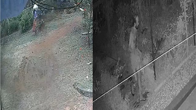 CCTV footage shows man stealing coconuts