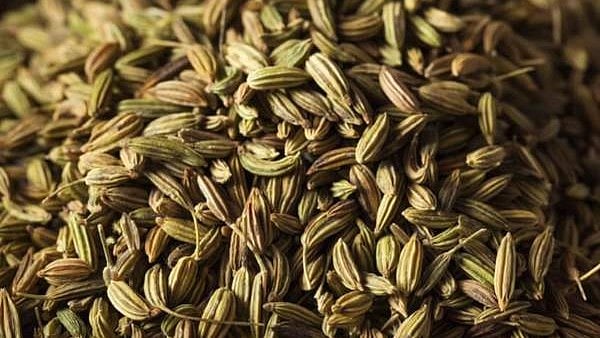 Fennel seeds