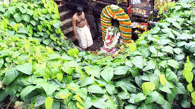 പനച്ചിക്കാട്, വടക്കന് പറവൂര്, തട്ടാരമ്പലം, ആവണംകോട്...; അറിയാം കേരളത്തിലെ പ്രധാന സരസ്വതി ക്ഷേത്രങ്ങള്