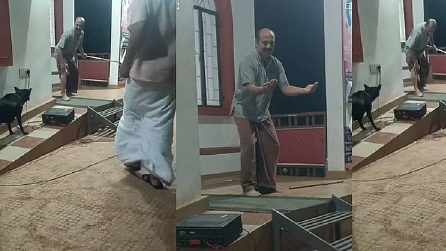 Artist bitten by dog during play against stray dog attack