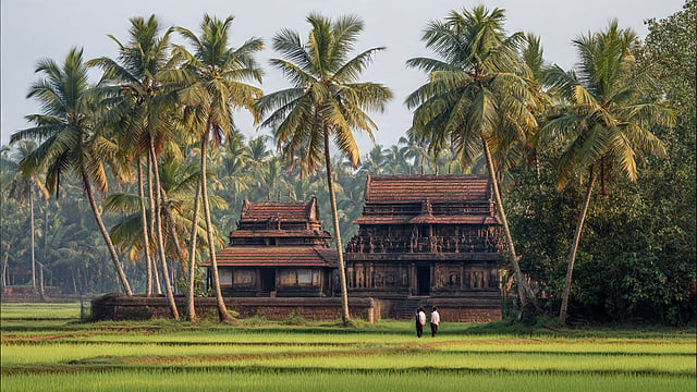 ഈയാഴ്ച മഴ കുറയും, ഇടി മിന്നലിനു സാധ്യത; 16ന് സര്പ്പക്കാവുകളില് ആയില്യ മഹോത്സവം