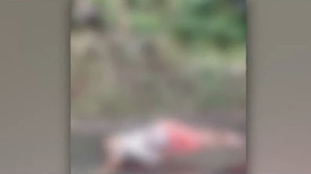 പാലക്കാട് അയല്വാസികള് വെടിയേറ്റ് മരിച്ച നിലയില്; നാടന് തോക്ക് കണ്ടെത്തി