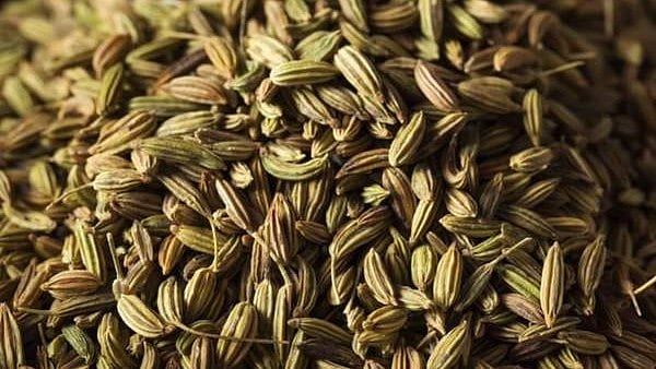 വയറിന് മാത്രമല്ല, കൊഴുപ്പ് കുറയ്ക്കാനും പെരുംജീരകം