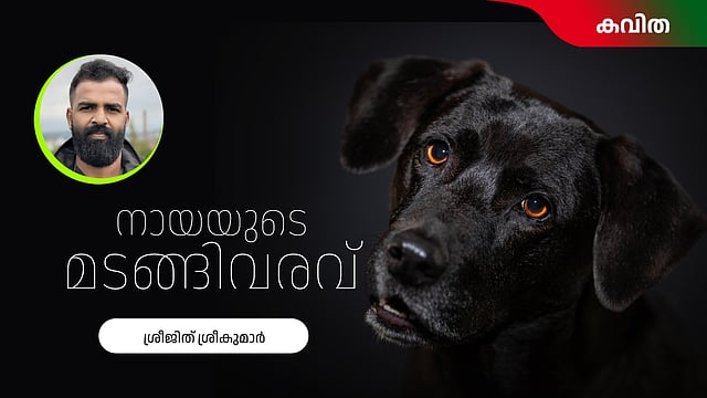 നായയുടെ മടങ്ങിവരവ് - ശ്രീജിത് ശ്രീകുമാര് എഴുതിയ കവിത
