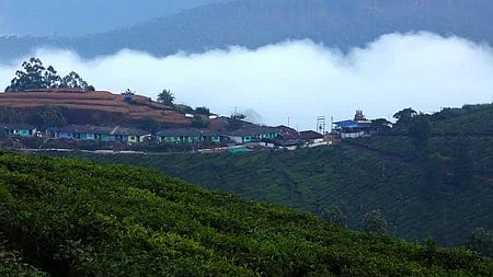 മൂന്നാര് കൊടും തണുപ്പിലേക്ക്, ആറു ഡിഗ്രിയായി താഴ്ന്നു; സഞ്ചാരികളുടെ ഒഴുക്ക്