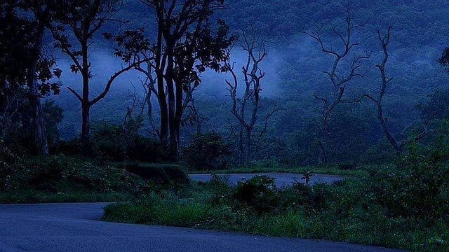 മഞ്ഞില്‍ പുതഞ്ഞ് വയനാട്, തണുപ്പ് ഇക്കുറി നേരത്തേ; സഞ്ചാരികളെ കാത്തിരിക്കുന്നത് മനംകുളിര്‍ക്കും കാഴ്ചകള്‍