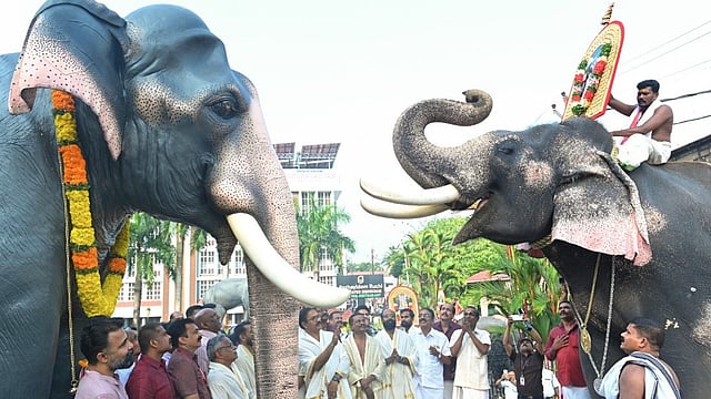 Guruvayur Kesavan