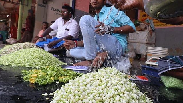 കല്യാണ വിപണിയില്‍ പോക്കറ്റ് കാലിയാക്കി മുല്ലപ്പൂ; കിലോയ്ക്ക് അയ്യായിരം രൂപ കടന്നു  