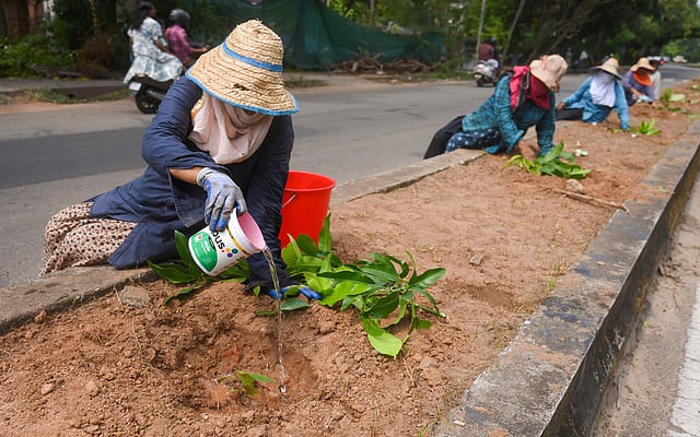 മഹാത്മാഗാന്ധി തൊഴിലുറപ്പ് പദ്ധതി ഇനിയില്ല, വി ബി ജി റാം ജി ബില് രാഷ്ട്രപതി അംഗീകരിച്ചു