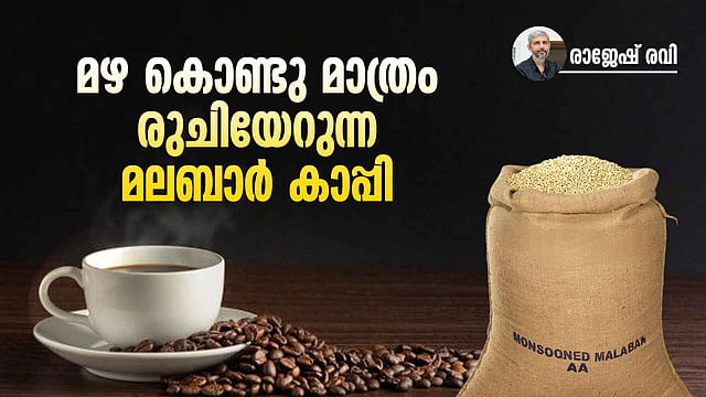 കപ്പലുകളുടെ പാക്കിങ്, കടലിന്റെ മിശ്രണം, മൺസൂൺഡ് മലബാർ കാപ്പിയുടെ കഥ