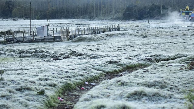 Minus temperature again in Munnar