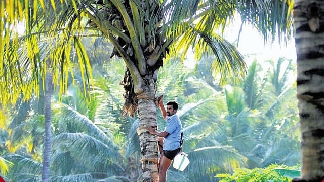 കള്ള് ചെത്താൻ പഠിക്കാം, ഒരു മാസത്തെ സൗജന്യ കോഴ്സ്;
10,000 രൂപ സ്റ്റൈപ്പന്റ്