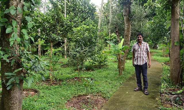 Sreenivasan
