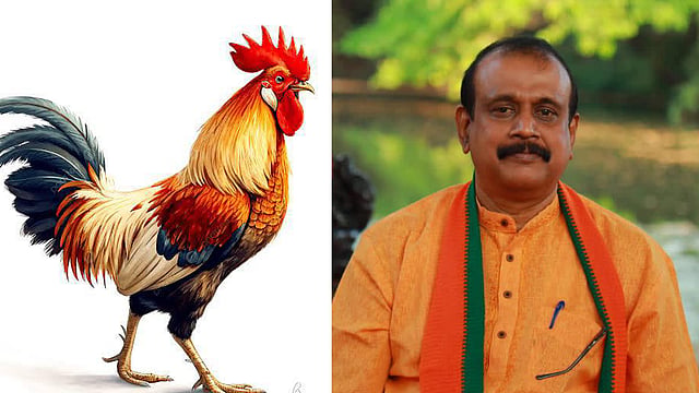 'സൈക്കിക് കോഴി രക്ഷപെടും, ബലാത്സംഗ പരാതിയിലെ ബാലപാഠങ്ങള്‍ അറിയില്ലേ?' പൊലീസിനെ വിമര്‍ശിച്ച് സെന്‍കുമാര്‍