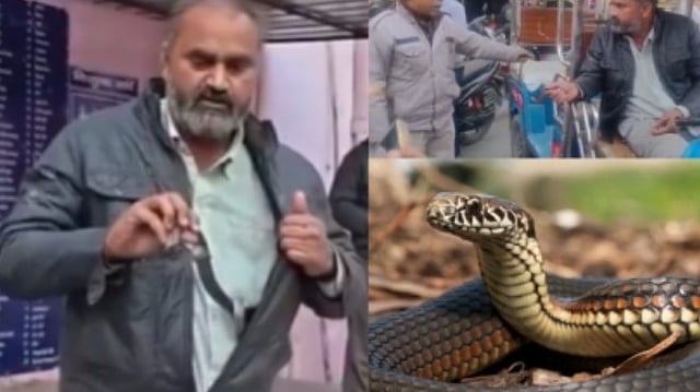 കടിച്ച പാമ്പിനെ പോക്കറ്റിലിട്ട് യുവാവ് ആശുപത്രിയില്; പൊലീസെത്തി പുറത്തെടുത്തു-വിഡിയോ