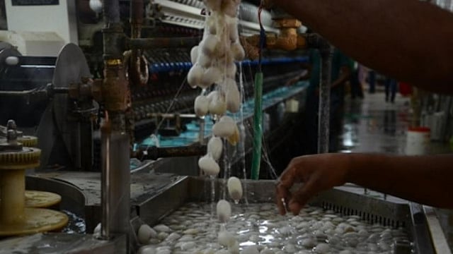 സെൻട്രൽ സിൽക്ക് ബോ‍ർഡിൽ സയ​ന്റിസ്റ്റ് തസ്തികയിൽ ഒഴിവുകൾ, ഇപ്പോൾ അപേക്ഷിക്കാം; ശമ്പളം 1,77,500 രൂപ വരെ