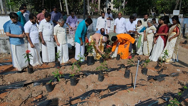രണ്ടായിരത്തോളം ചെടികള്; പൂജാപുഷ്പങ്ങള്ക്കായി ഗുരുവായൂരില് 'തെച്ചിപൂങ്കാവനം' പദ്ധതി