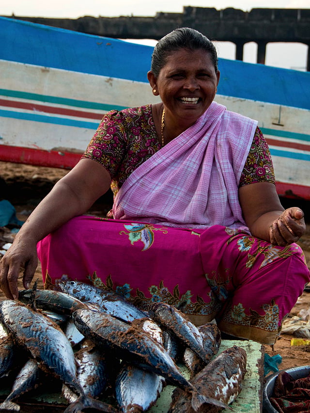ചൂര മീൻ