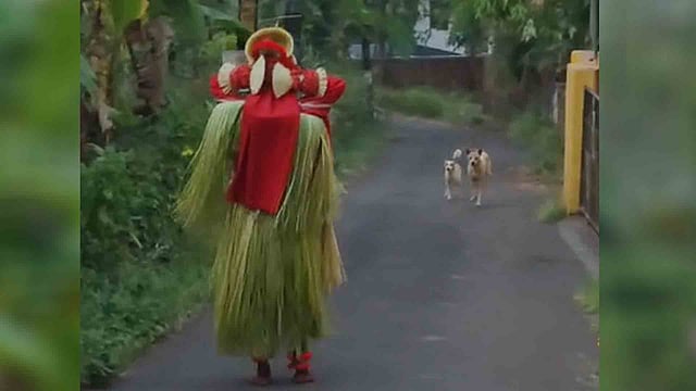 കുരച്ചുചാടി തെരുവുനായ്ക്കള്; ചിലമ്പൊലിയും അട്ടഹാസവുമായി നേരിട്ട് ചാമുണ്ഡി തെയ്യം - വിഡിയോ