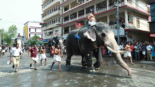 ഗുരുവായൂർ ആനയോട്ടം; കൊമ്പൻ രവികൃഷ്ണൻ ഒന്നാമൻ
