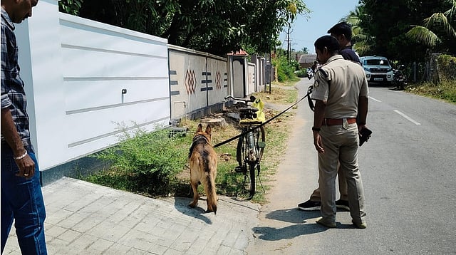 Police dog searching